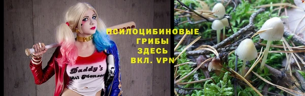 спиды Алзамай