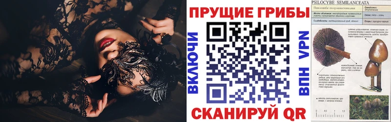 Галлюциногенные грибы мицелий  Камышлов 