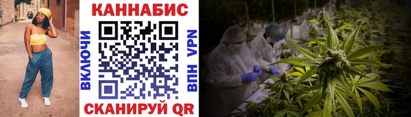 МАРИХУАНА гибрид  блэк спрут зеркало  Камышлов 